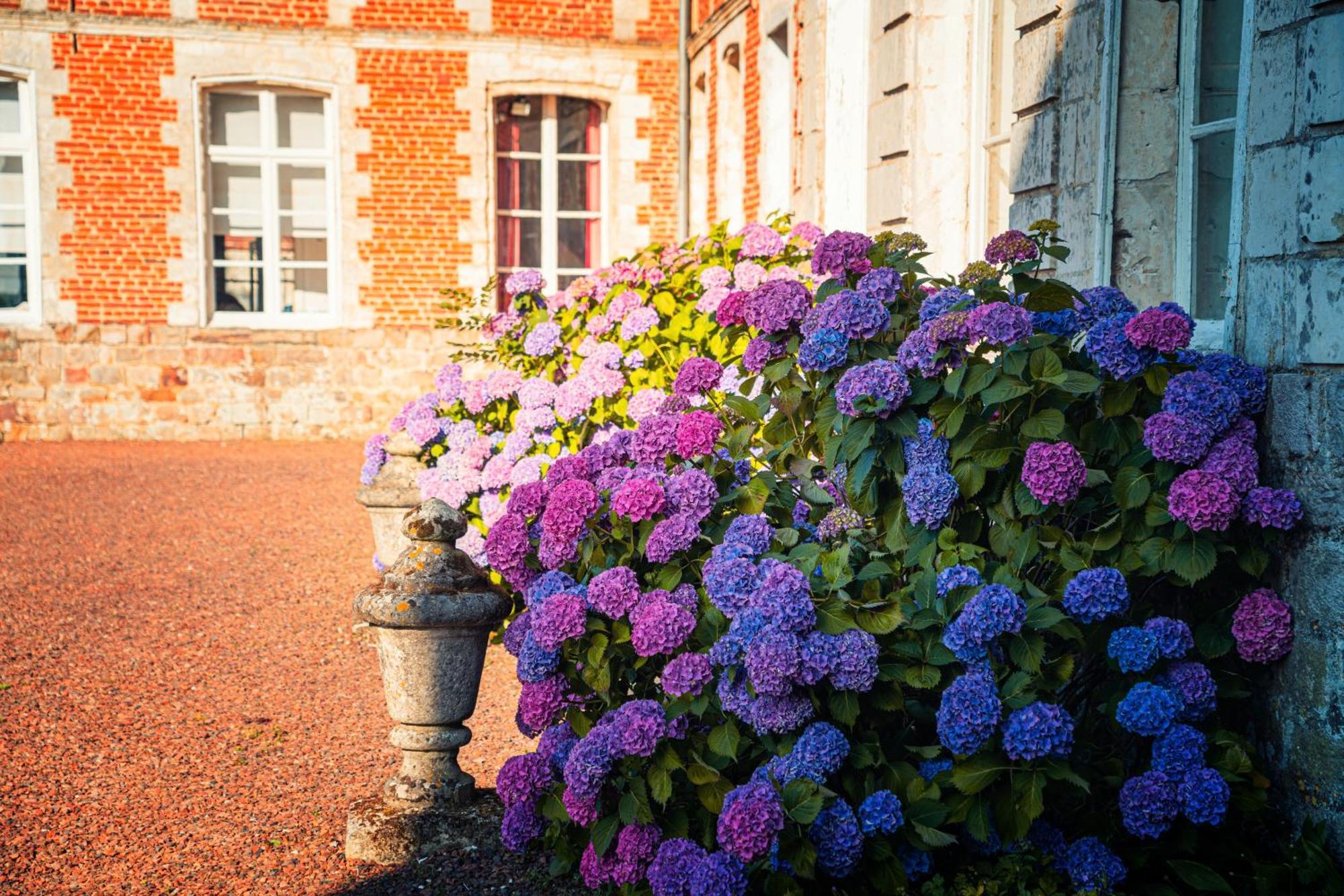 Chambres D'Hotes & Gites Du Chateau De Grand Rullecourt Luaran gambar