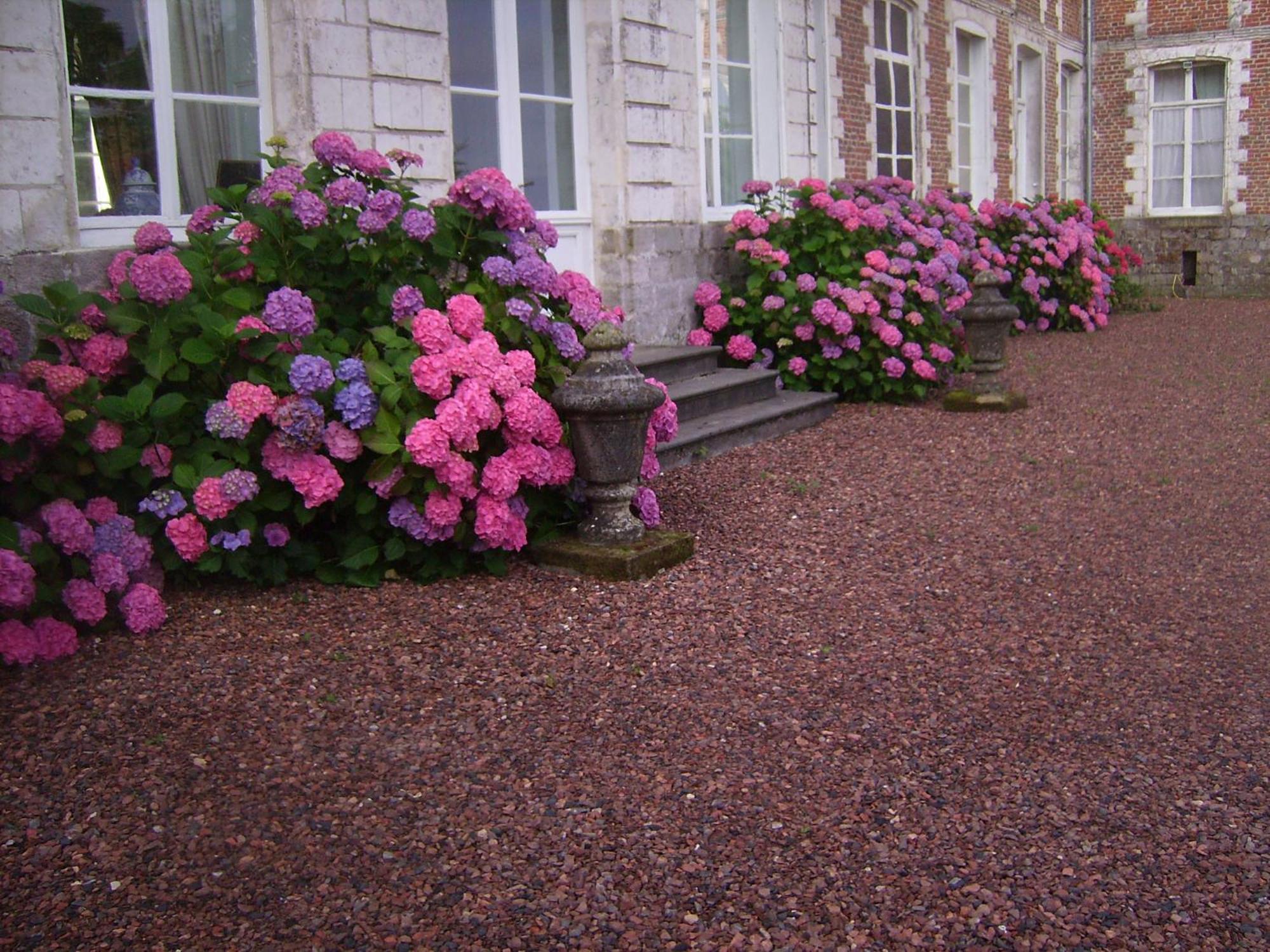 Chambres D'Hotes & Gites Du Chateau De Grand Rullecourt Luaran gambar